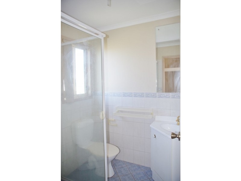 82 Plush’s Bend Road, Renmark SA 5341