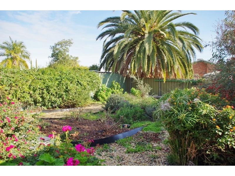 10A Cedar Avenue, Renmark SA 5341