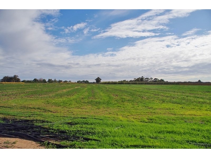 2-4 Bookmark Avenue, Renmark SA 5341