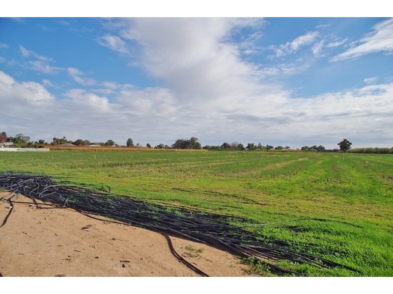 2-4 Bookmark Avenue, Renmark SA 5341