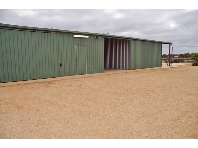 15 Verrall Crescent, Berri SA 5343