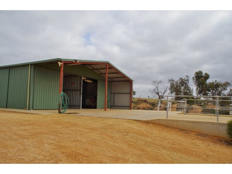 15 Verrall Crescent, Berri SA 5343