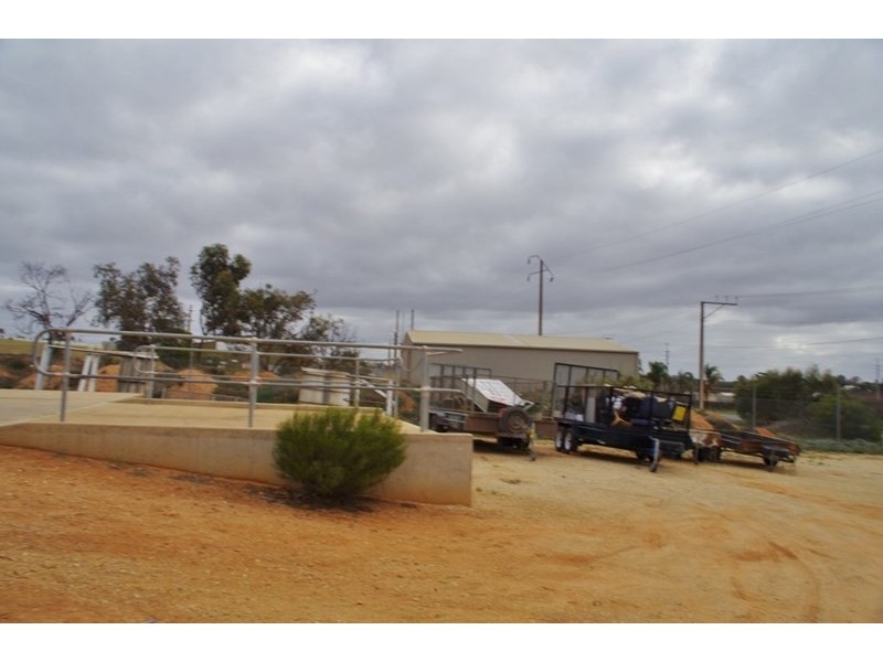 15 Verrall Crescent, Berri SA 5343