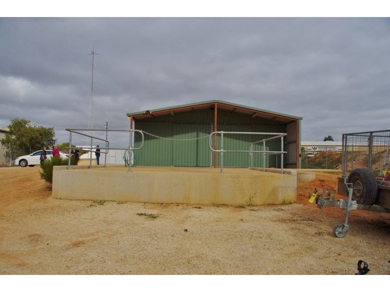 15 Verrall Crescent, Berri SA 5343