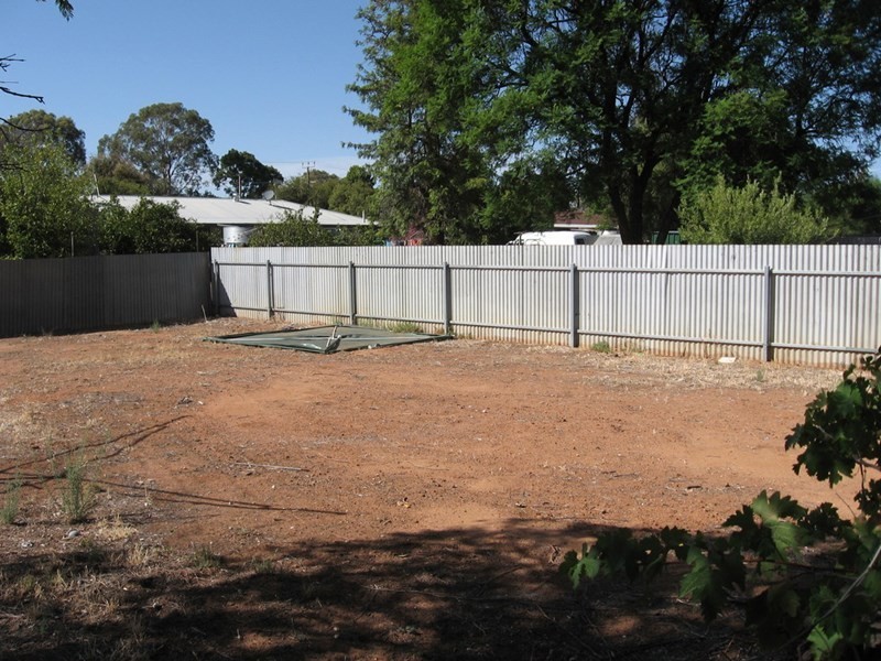 10 Twentieth Street, Renmark SA 5341