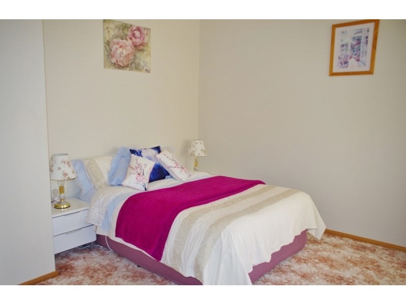 308 Renmark Avenue, Renmark SA 5341