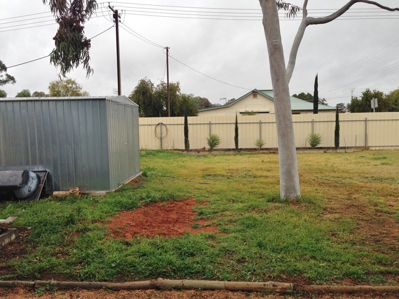 29 Tolarno Street, Renmark SA 5341