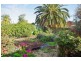 10A Cedar Avenue, Renmark SA 5341