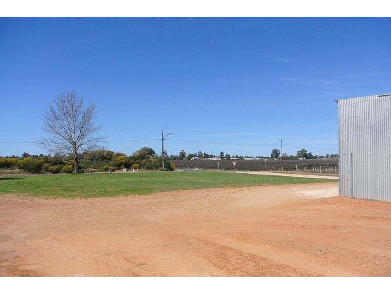 550 Chowilla Street, Renmark SA 5341