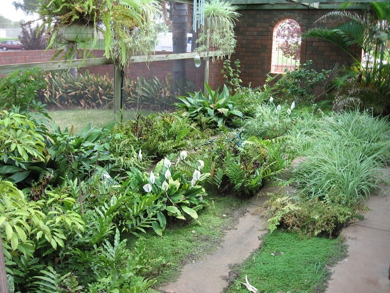 73 Murray Avenue, Renmark SA 5341