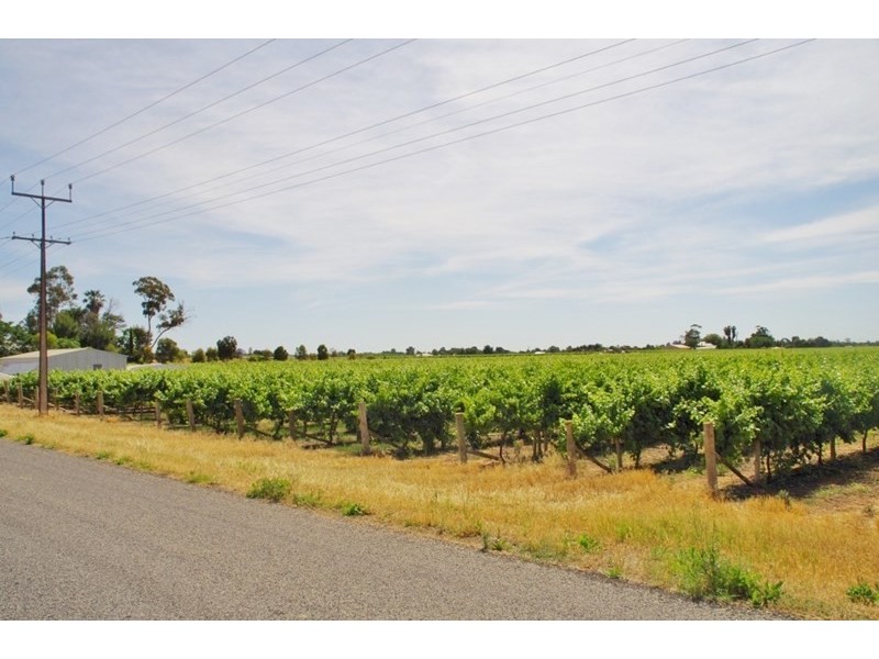 Lot 452 Chowilla Street, Renmark SA 5341