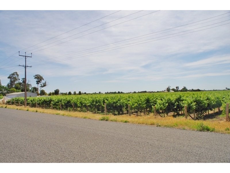 Lot 452 Chowilla Street, Renmark SA 5341