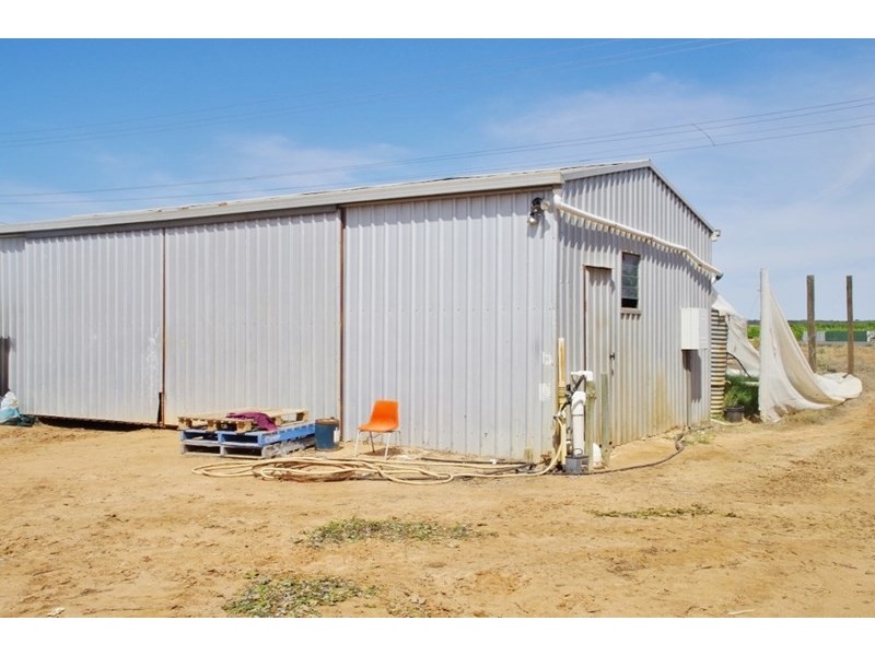 Lot 452 Chowilla Street, Renmark SA 5341