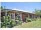 160 Pike Creek Road, Lyrup Heights, Lyrup SA 5343