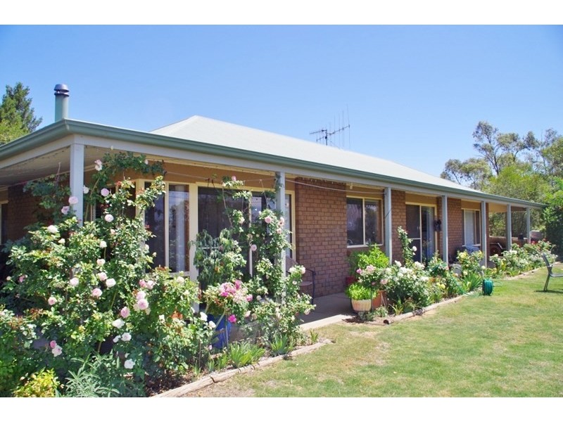 160 Pike Creek Road, Lyrup Heights, Lyrup SA 5343