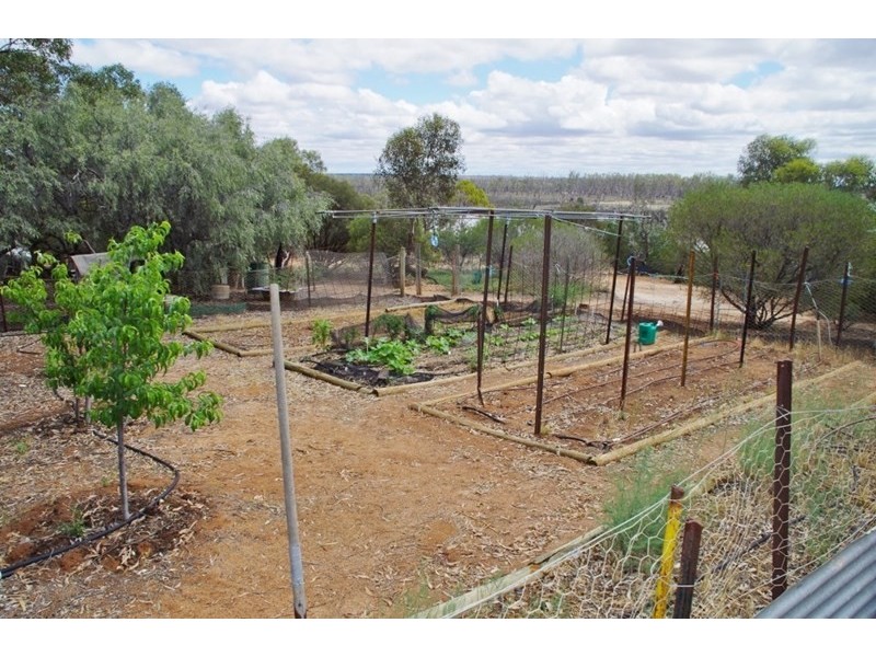 160 Pike Creek Road, Lyrup Heights, Lyrup SA 5343