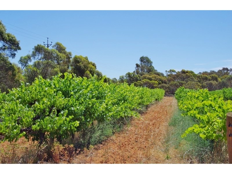 160 Pike Creek Road, Lyrup Heights, Lyrup SA 5343