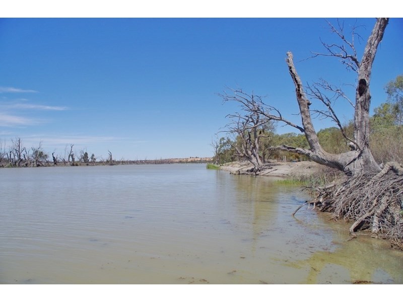 160 Pike Creek Road, Lyrup Heights, Lyrup SA 5343