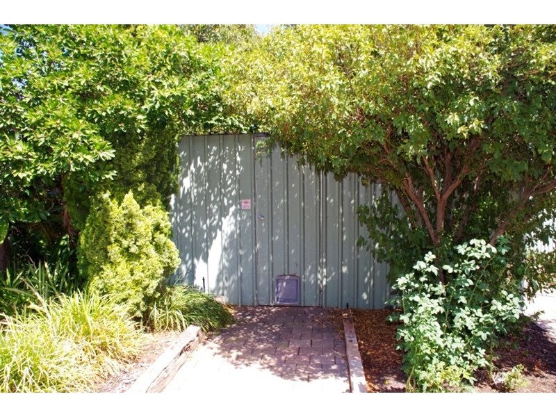 37 Cowra Street, Renmark SA 5341