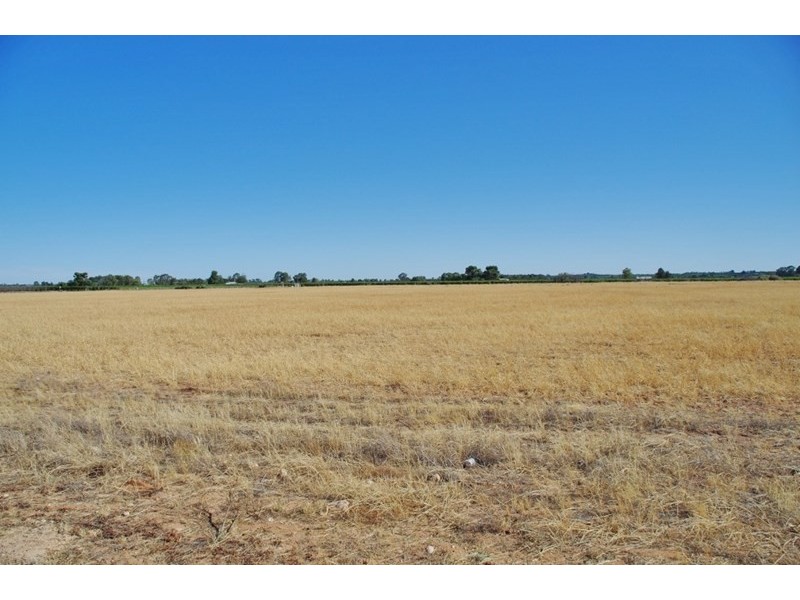 Lot 45 Ibis Road, Renmark SA 5341