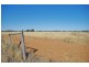 Lot 45 Ibis Road, Renmark SA 5341
