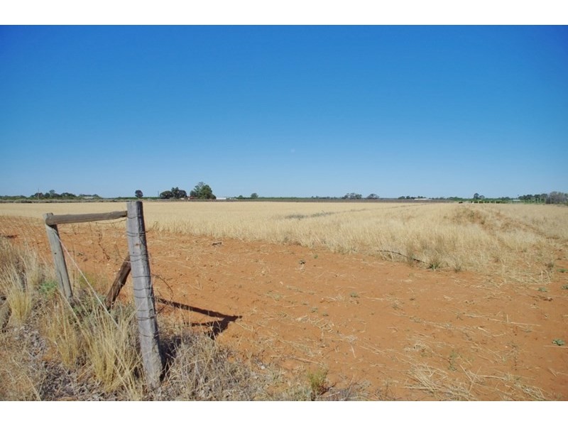 Lot 45 Ibis Road, Renmark SA 5341