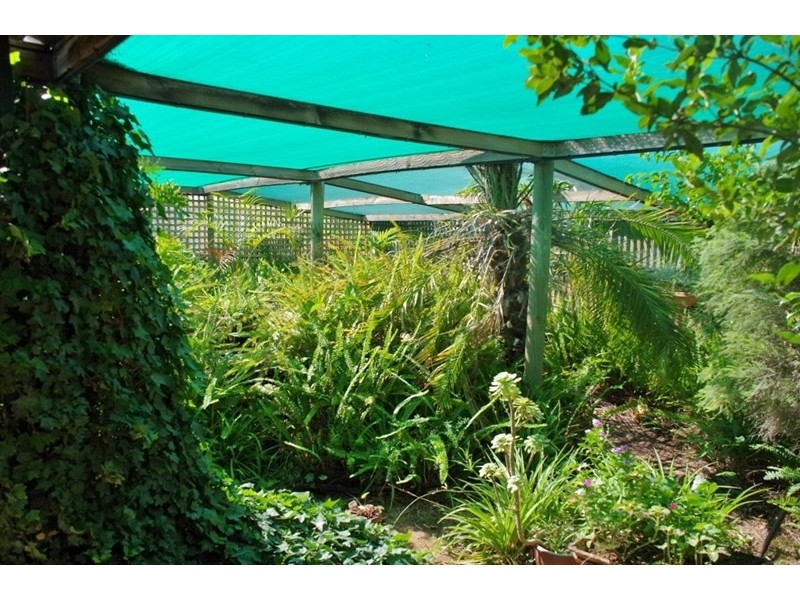 172 Pike Creek Road, Lyrup SA 5343