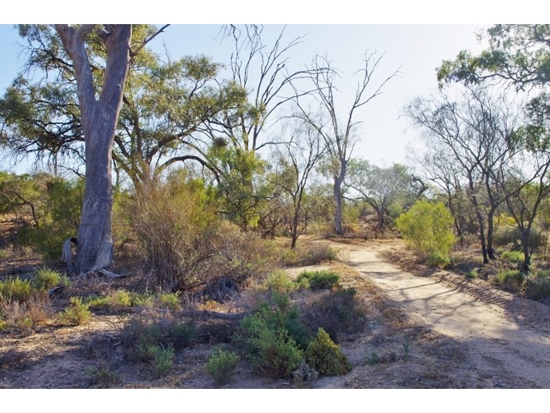 172 Pike Creek Road, Lyrup SA 5343