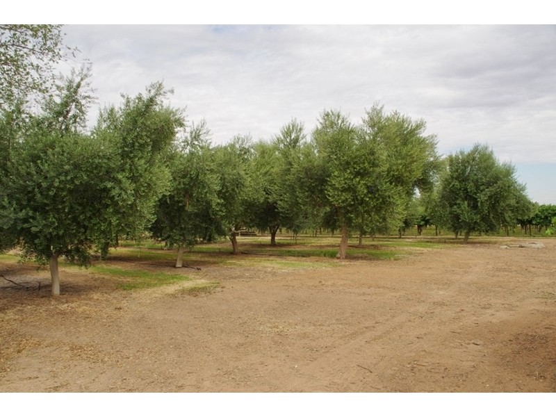 Lot 7 Twentyeighth Street, Renmark SA 5341