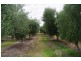 Lot 7 Twentyeighth Street, Renmark SA 5341