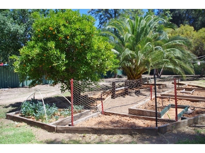 204 Twentyfirst Street, Renmark SA 5341