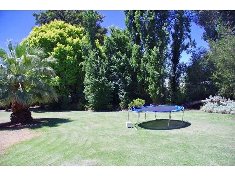 204 Twentyfirst Street, Renmark SA 5341