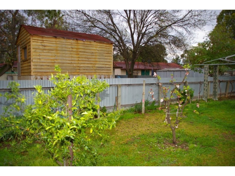 51 Sims Parade, Renmark SA 5341
