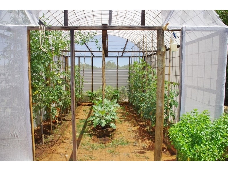 18 Arumpo Street, Renmark SA 5341