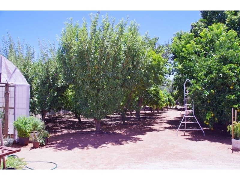 18 Arumpo Street, Renmark SA 5341