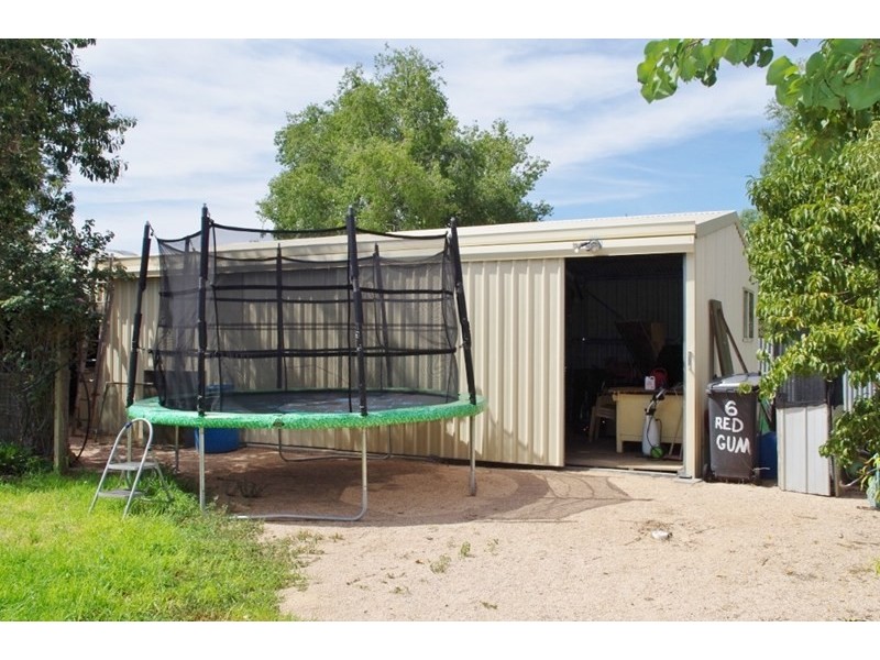 6 Red Gum Street, Renmark SA 5341