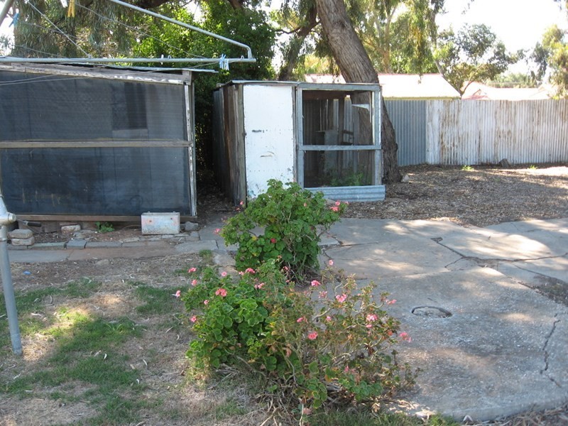 81 Murtho Street, Renmark SA 5341