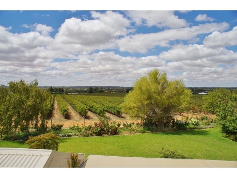 175 Chowilla Street, Renmark SA 5341