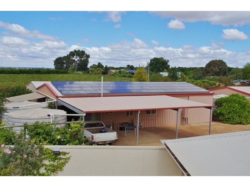 175 Chowilla Street, Renmark SA 5341