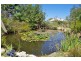 175 Chowilla Street, Renmark SA 5341