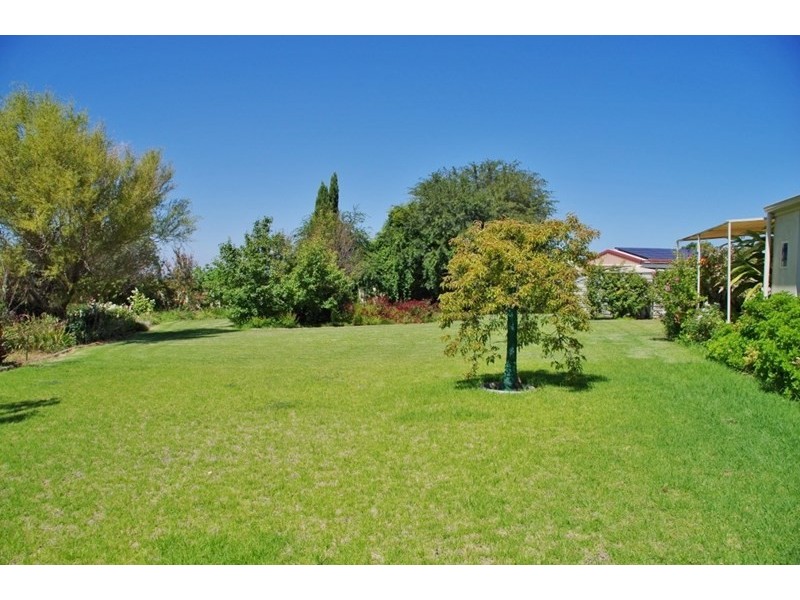 175 Chowilla Street, Renmark SA 5341