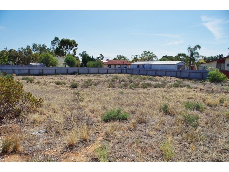 13 Hardwick Street, Barmera SA 5345