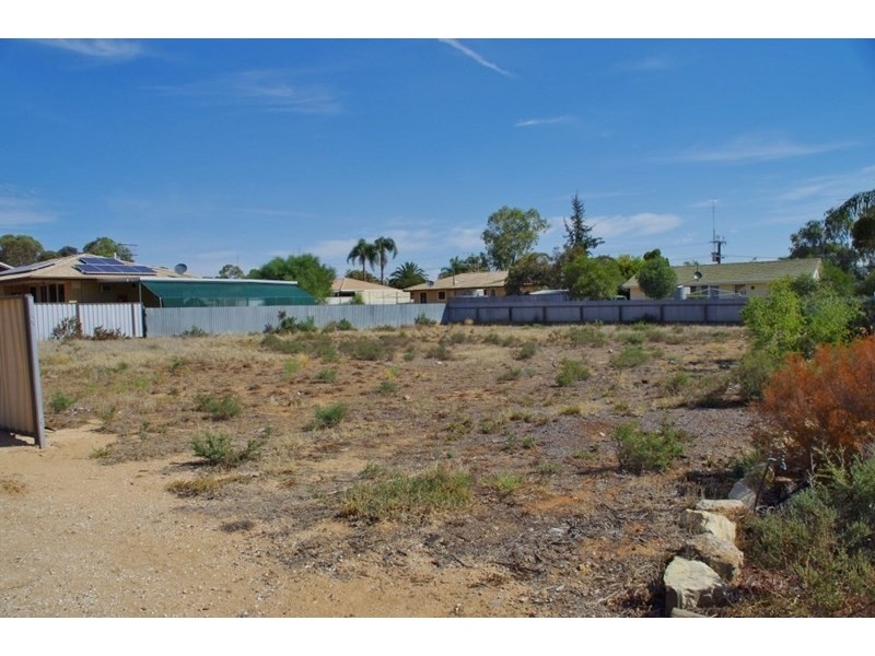 13 Hardwick Street, Barmera SA 5345