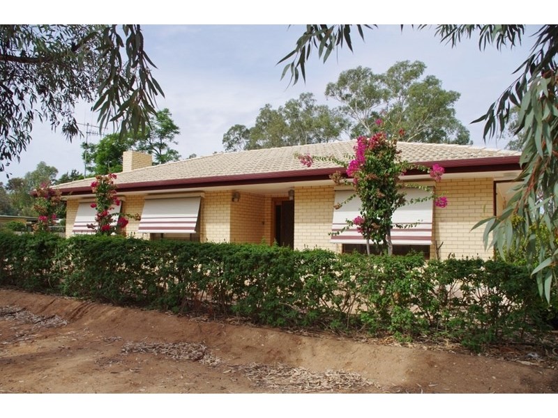 67 Tapio Street, Renmark SA 5341