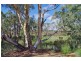 67 Tapio Street, Renmark SA 5341