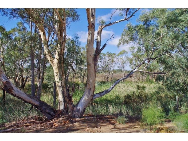 67 Tapio Street, Renmark SA 5341