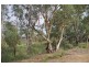 67 Tapio Street, Renmark SA 5341