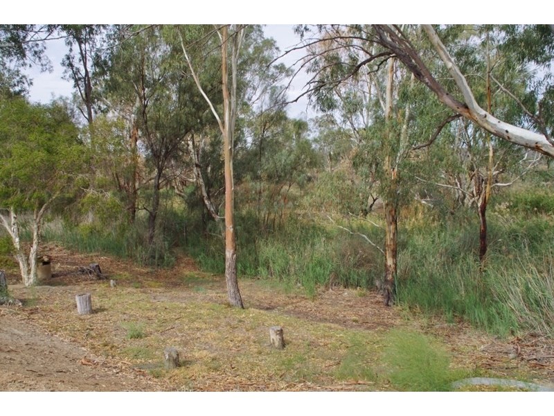 67 Tapio Street, Renmark SA 5341