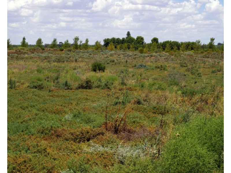 Lot 1 Wentworth Road, Renmark SA 5341