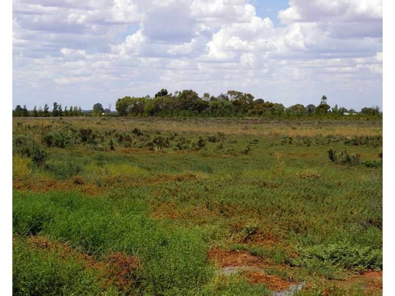 Lot 1 Wentworth Road, Renmark SA 5341
